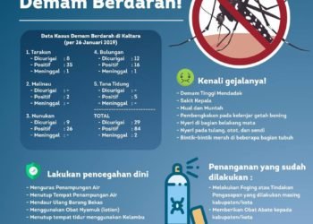Waspada Penyebaran DBD di Kaltara