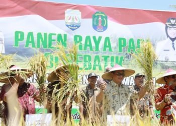 RTUP Pengguna Lahan dan RTP Gurem Meningkat