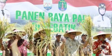 RTUP Pengguna Lahan dan RTP Gurem Meningkat