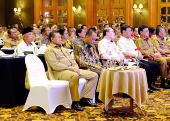 BNPP Minta Pusat dan Daerah Bersinergi Kelola Perbatasan