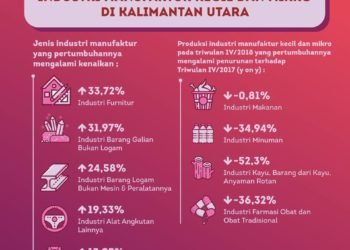 Perkembangan Industri Manufaktur Kecil dan Mikro di Kalimantan Utara