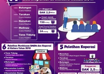 Jenis Pelatihan Pembinaan UMKM dan Koperasi di Kaltara Tahun 2019