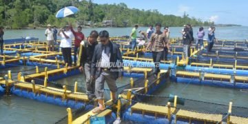 Gubernur Minta Potensi Perikanan Lebih Dimaksimalkan