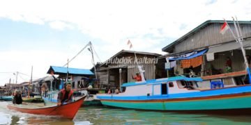 Pembudidaya Rumput Laut Diminta Patuhi Aturan Batas Negara