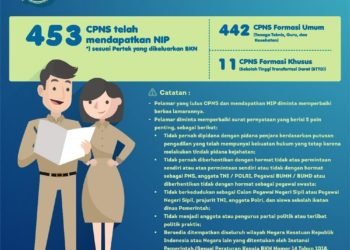 NIP 453 CPNS Formasi 2018 Sudah Keluar