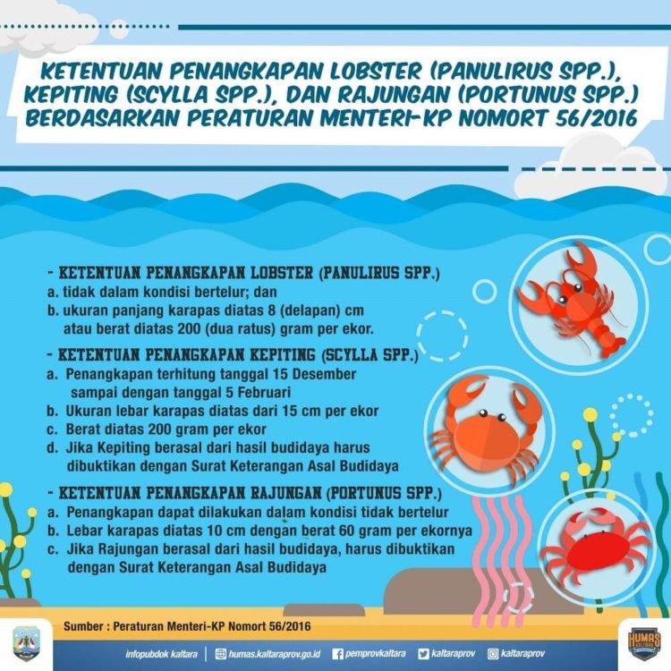 Terkait Aturan Penangkapan Kepiting, Gubernur Layangkan Surat ke Menteri Susi