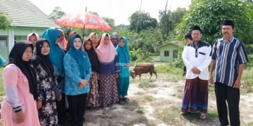 PKK Kaltara Sumbang 1 Sapi Kurban