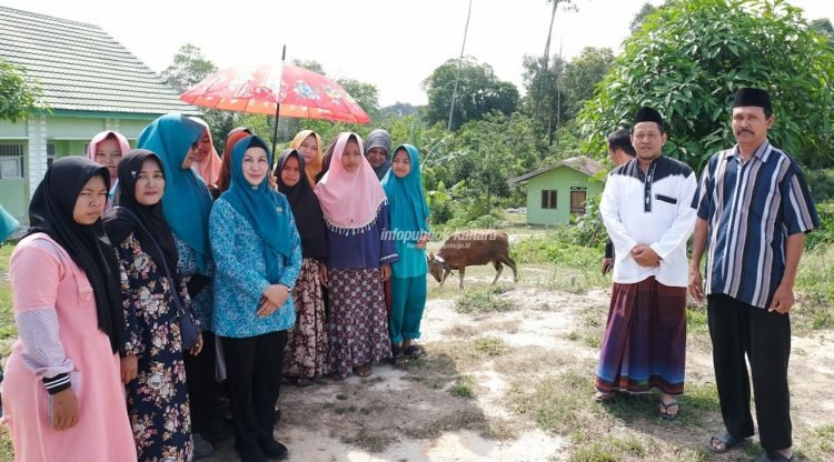PKK Kaltara Sumbang 1 Sapi Kurban