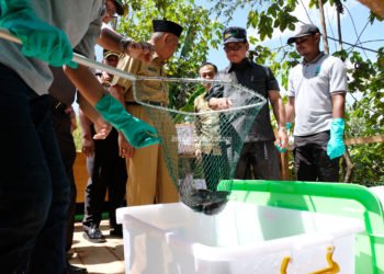 Baru 24.509 Ha KPU Budidaya Laut Termanfaatkan