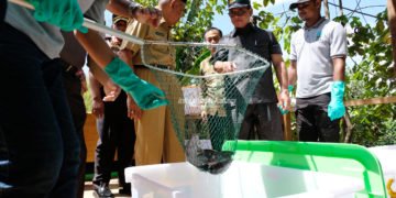 Baru 24.509 Ha KPU Budidaya Laut Termanfaatkan