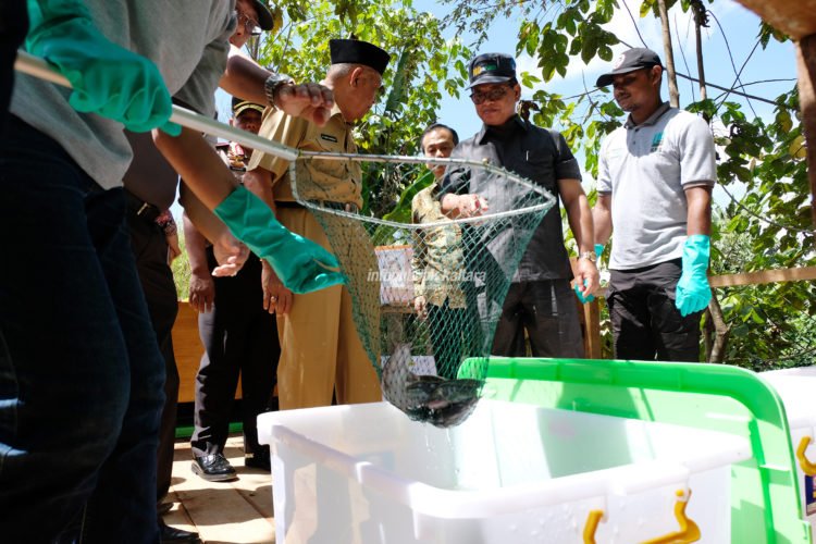 Baru 24.509 Ha KPU Budidaya Laut Termanfaatkan