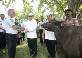 Pemprov Sumbang Hewan Qurban ke Lapas Tarakan dan Nunukan