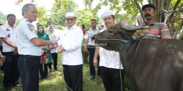 Pemprov Sumbang Hewan Qurban ke Lapas Tarakan dan Nunukan