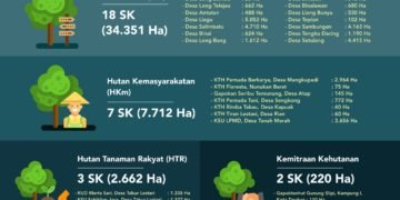 Sudah 30 Perizinan PS Diterbitkan di Kaltara