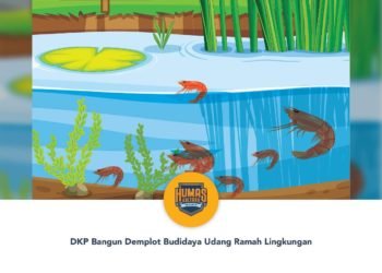 DKP Bangun Demplot Budidaya Udang Ramah Lingkungan