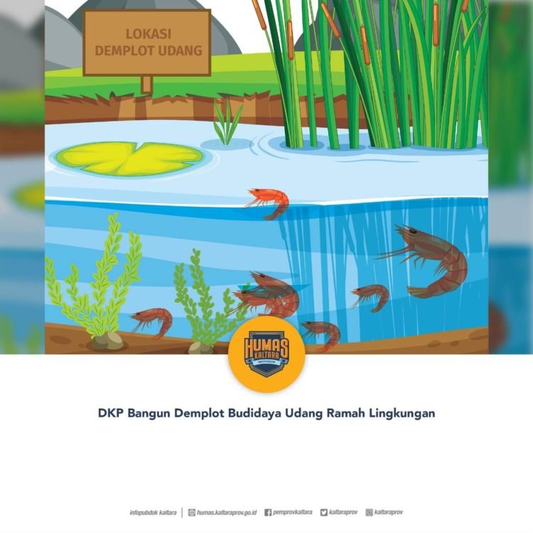 DKP Bangun Demplot Budidaya Udang Ramah Lingkungan
