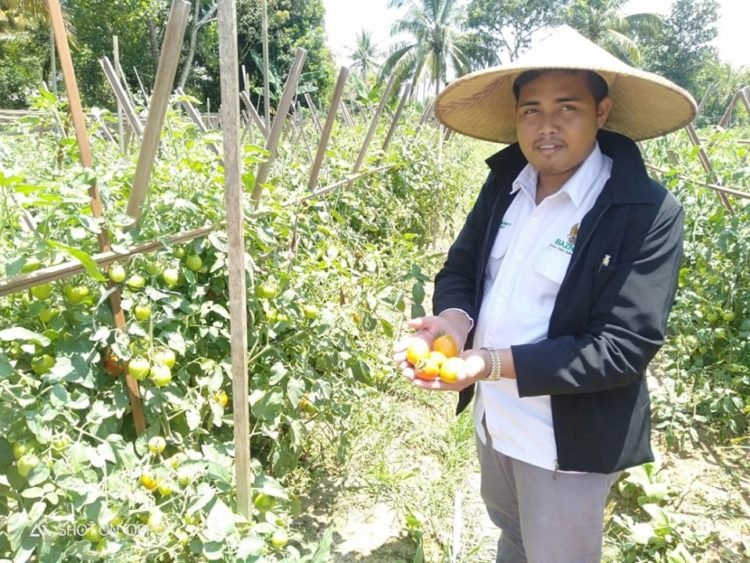 Program Bina Poktan Jadi Prioritas Akhir Tahun