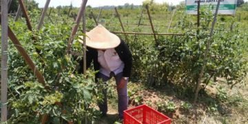 Program Bina Poktan Jadi Prioritas Akhir Tahun