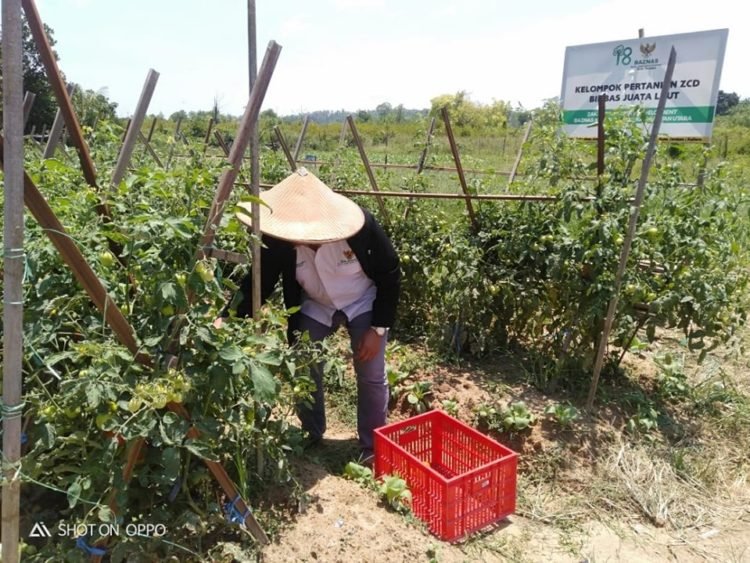 Program Bina Poktan Jadi Prioritas Akhir Tahun