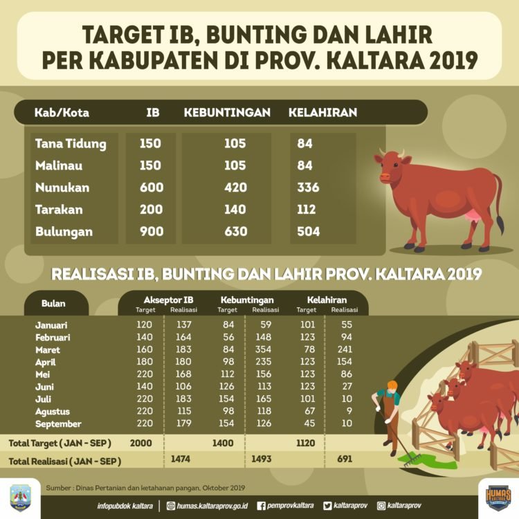 Per September, Upsus Siwab Hasilkan 1.493 Sapi Bunting