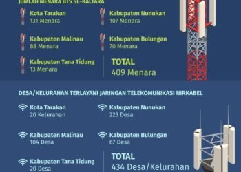 Tower BTS yang Dibangun Pemprov Mulai On Air