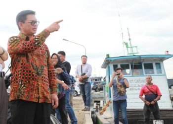 Semua Lapangan Usaha Tumbuh Positif