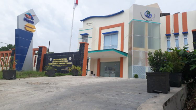 BKIPM : Jaminan Mutu Ikan Dipasar Tradisional Tarakan Masih Perlu Ditingkatkan