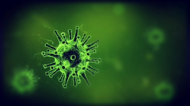 Waspadai Virus Corona, Bandara dan Pelabuhan di Tarakan Dipasang Thermal Scanner