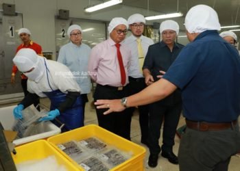 Undang Pihak Terkait Cari Solusi Anjloknya Harga Udang